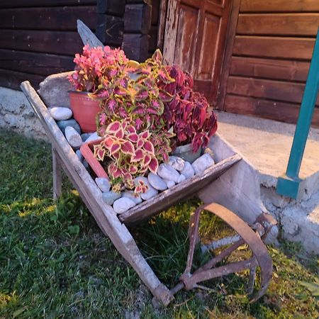 Bungalovi Vukovic Mojkovac Ngoại thất bức ảnh